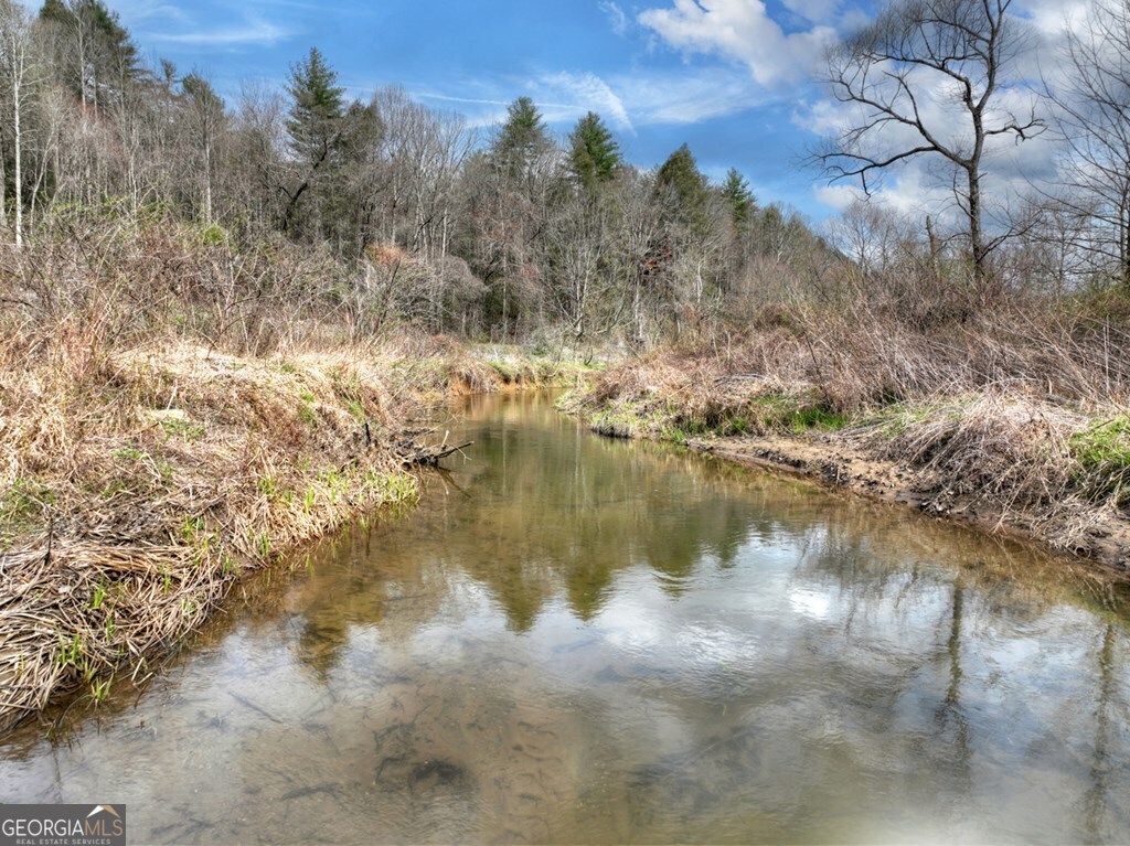 4081 Whitepath Road Ellijay GA 30540