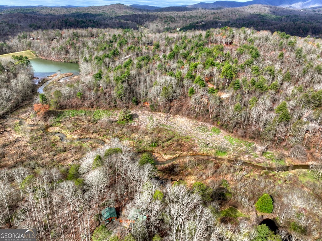 4081 Whitepath Road Ellijay GA 30540