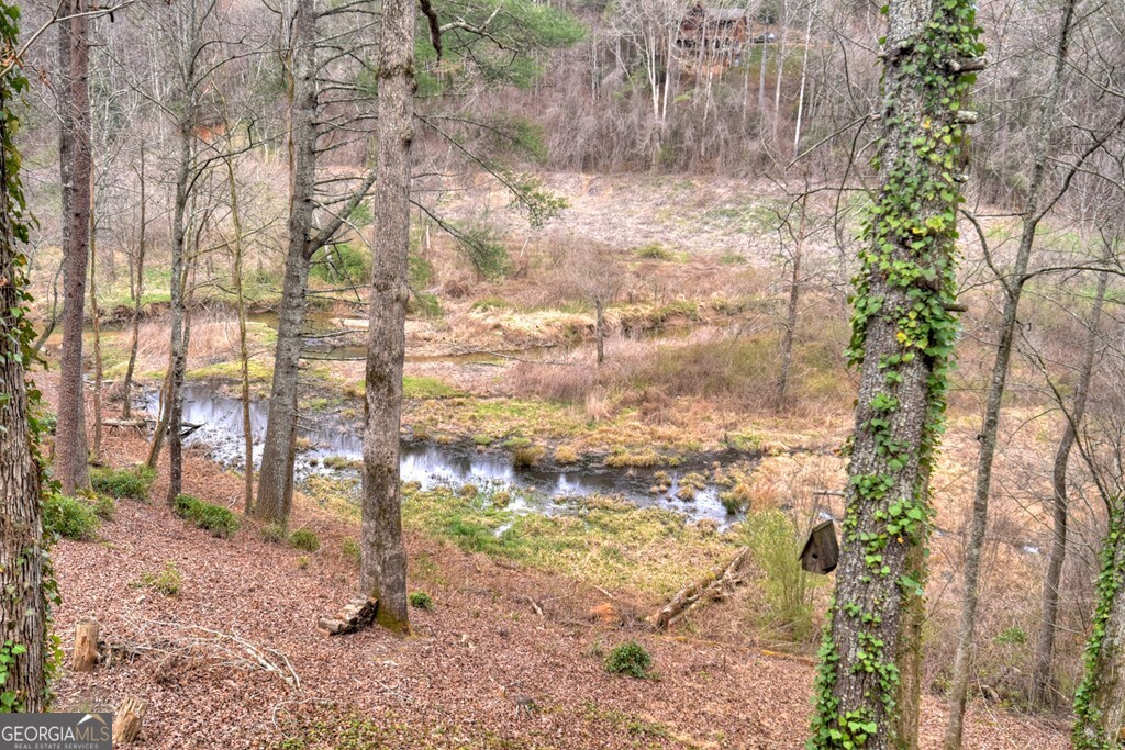 4081 Whitepath Road Ellijay GA 30540