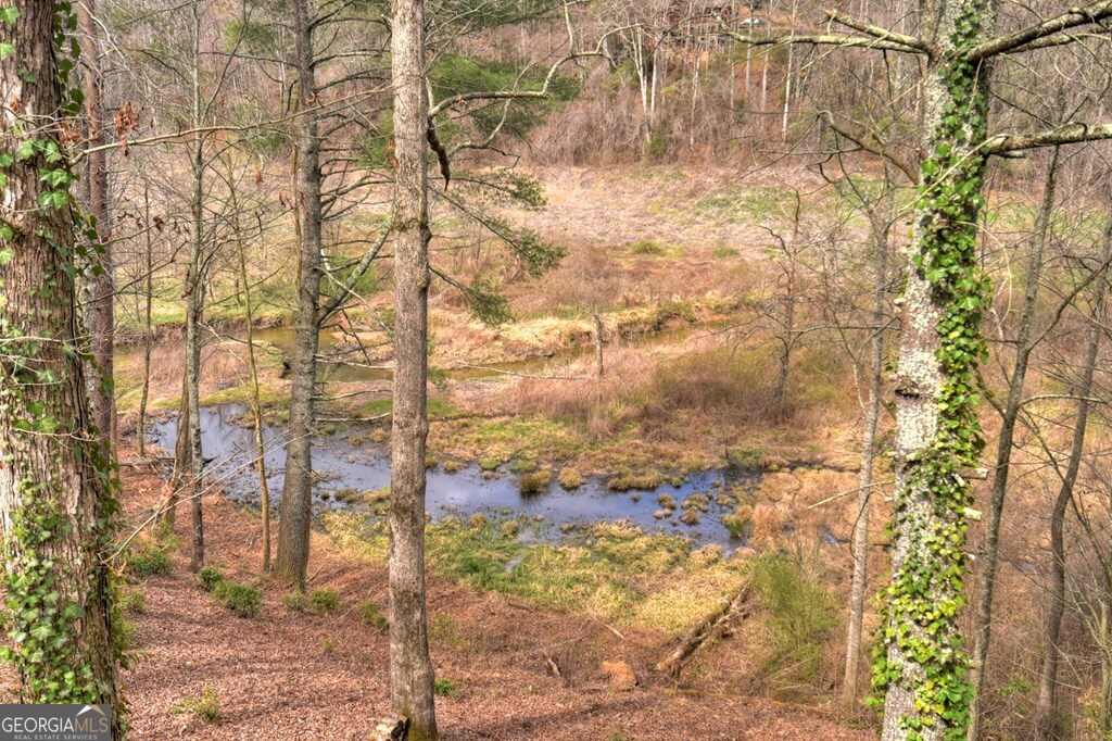 4081 Whitepath Road Ellijay GA 30540