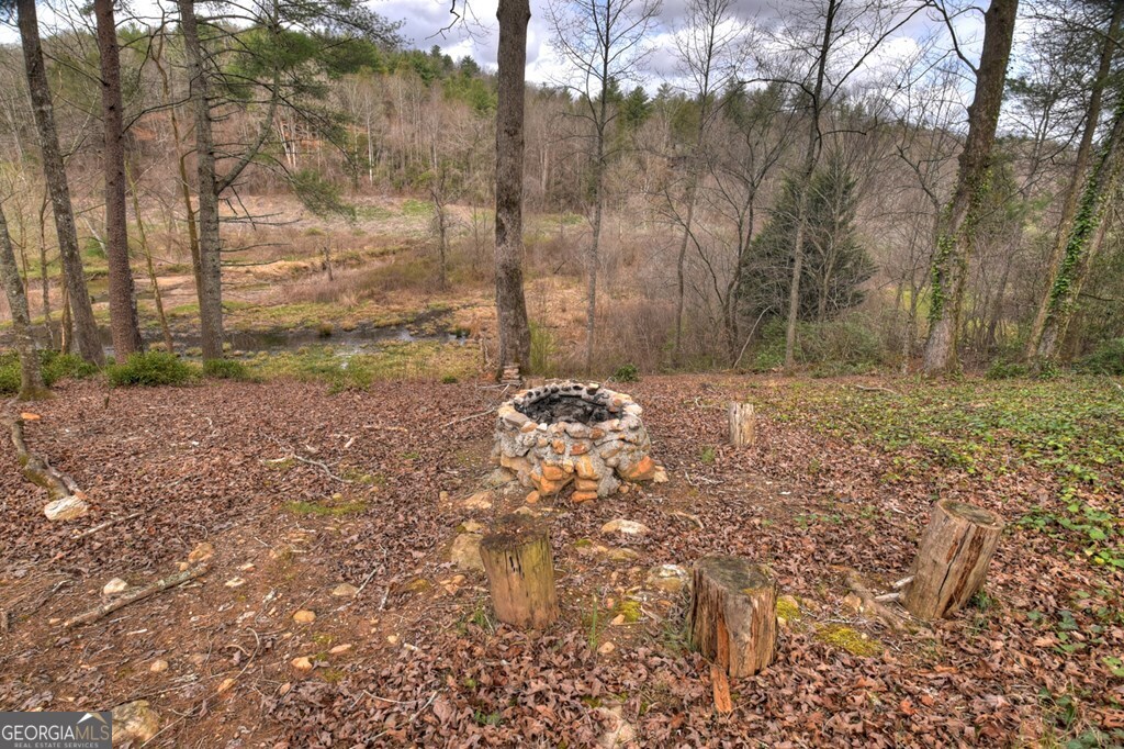 4081 Whitepath Road Ellijay GA 30540