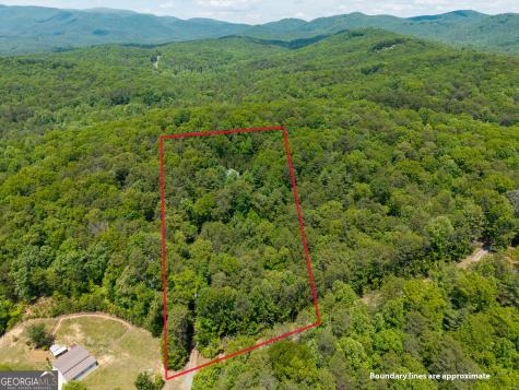 9121 Roy Road Ellijay GA 30536