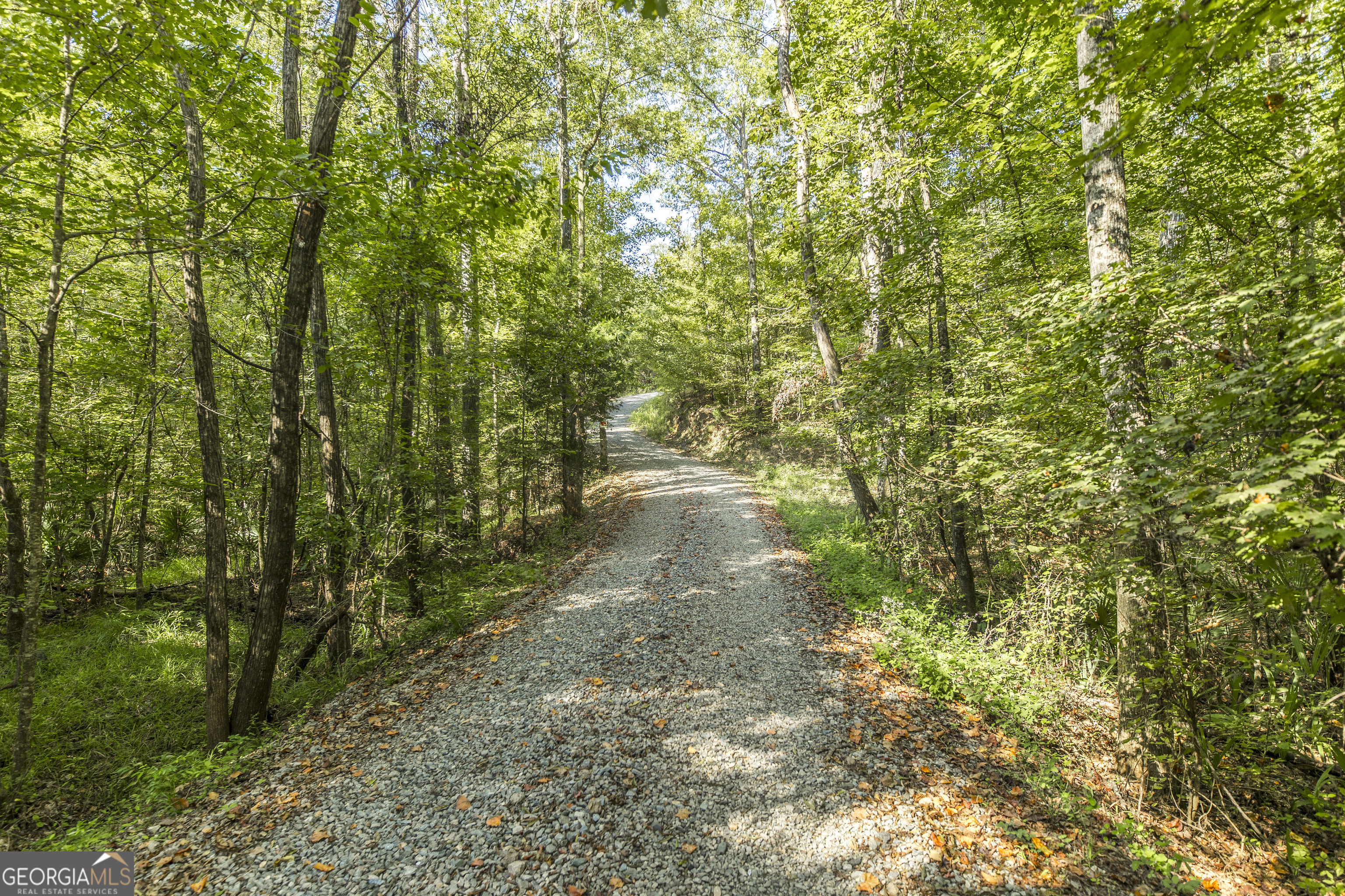 1979 Dent Drive Musella GA 31066