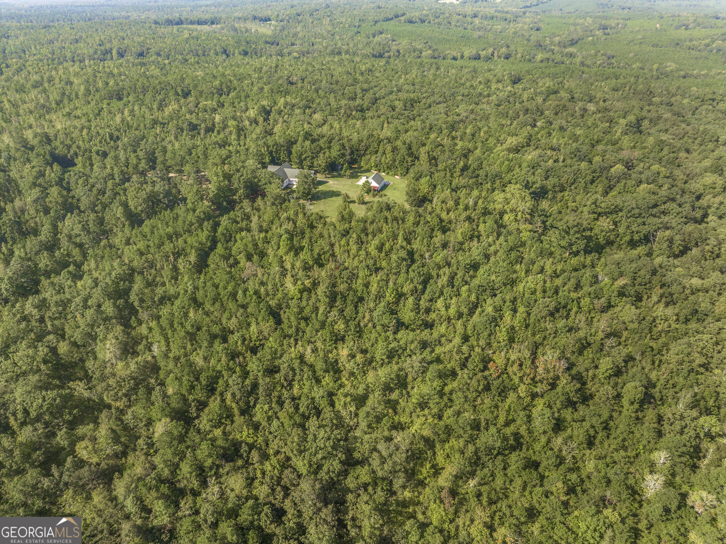 1979 Dent Drive Musella GA 31066