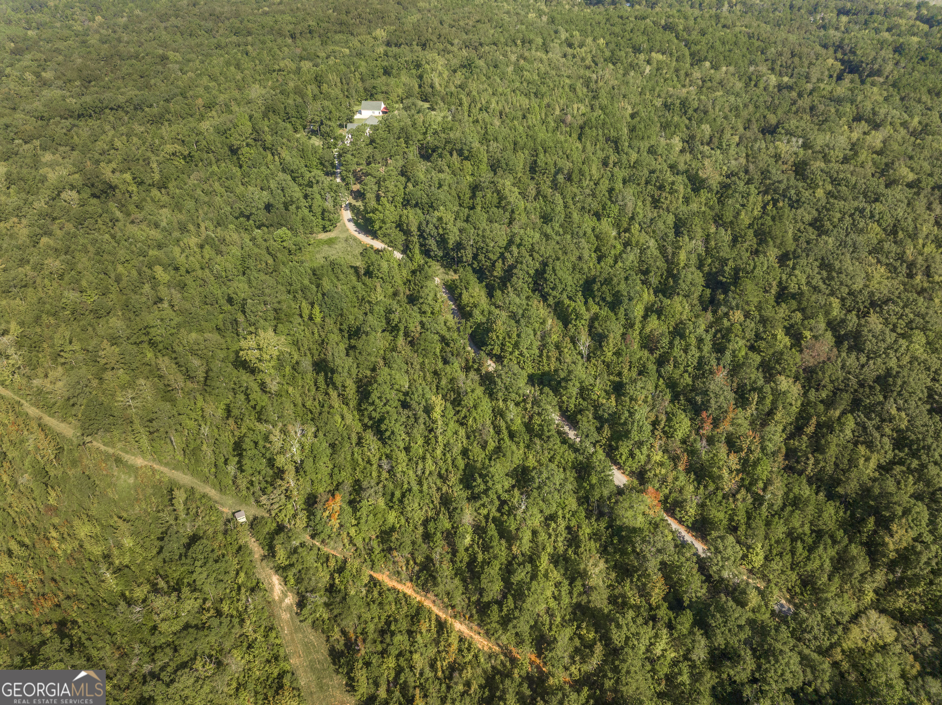 1979 Dent Drive Musella GA 31066