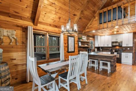 162 Little Falls Drive Mineral Bluff GA 30559