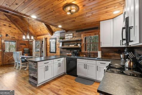 162 Little Falls Drive Mineral Bluff GA 30559