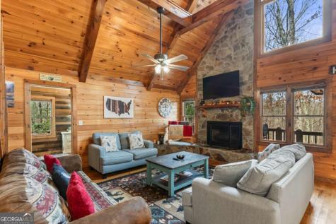 162 Little Falls Drive Mineral Bluff GA 30559