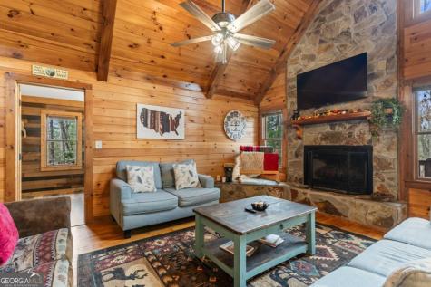 162 Little Falls Drive Mineral Bluff GA 30559