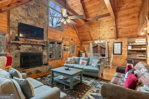 162 Little Falls Drive Mineral Bluff GA 30559