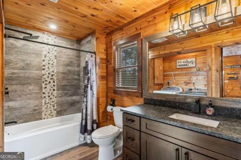 162 Little Falls Drive Mineral Bluff GA 30559