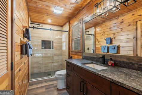 162 Little Falls Drive Mineral Bluff GA 30559