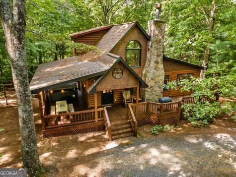 162 Little Falls Drive Mineral Bluff GA 30559