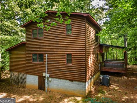 162 Little Falls Drive Mineral Bluff GA 30559