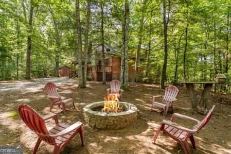 162 Little Falls Drive Mineral Bluff GA 30559