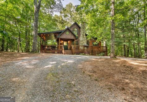 162 Little Falls Drive Mineral Bluff GA 30559