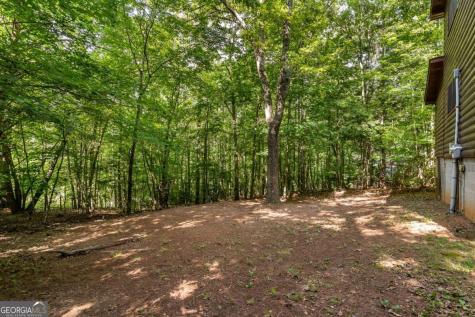 162 Little Falls Drive Mineral Bluff GA 30559