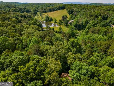 162 Little Falls Drive Mineral Bluff GA 30559