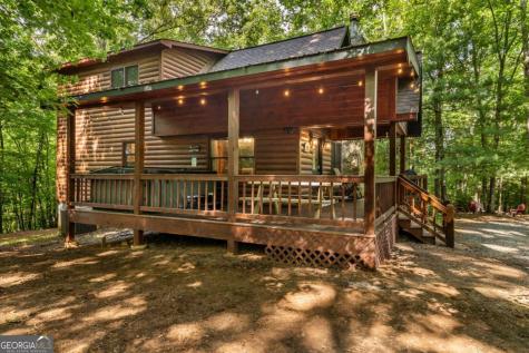 162 Little Falls Drive Mineral Bluff GA 30559