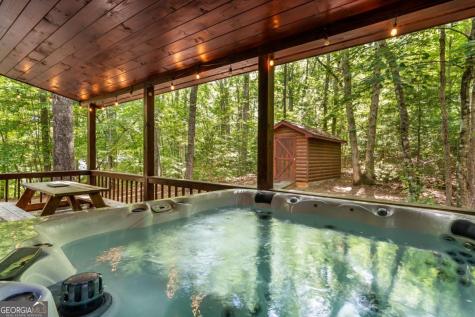 162 Little Falls Drive Mineral Bluff GA 30559