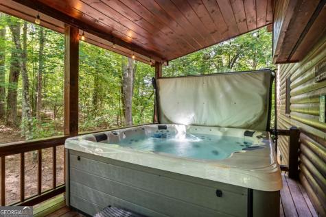 162 Little Falls Drive Mineral Bluff GA 30559