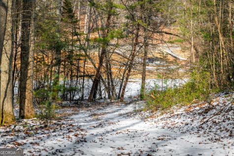 102 Captains Cove Blairsville GA 30512