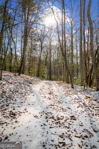 102 Captains Cove Blairsville GA 30512