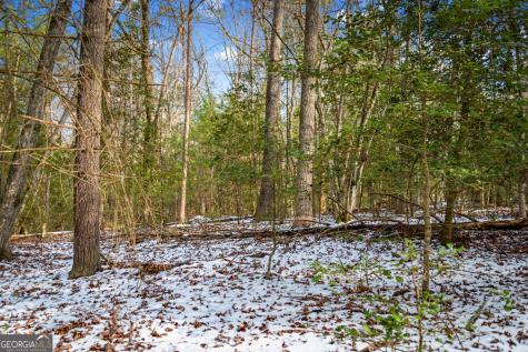 102 Captains Cove Blairsville GA 30512