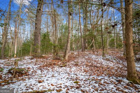 102 Captains Cove Blairsville GA 30512