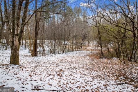 102 Captains Cove Blairsville GA 30512