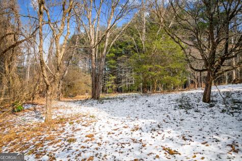 102 Captains Cove Blairsville GA 30512