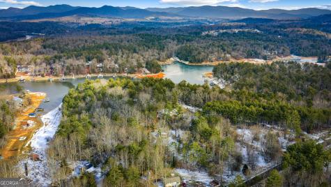 102 Captains Cove Blairsville GA 30512