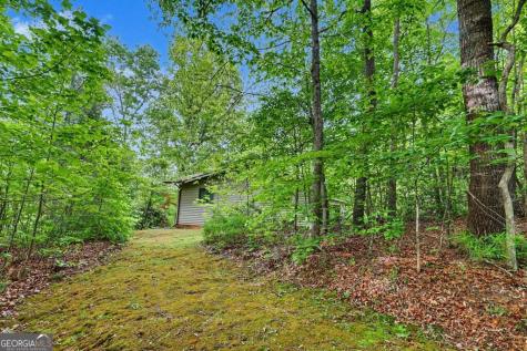 24 Taylor Valley Road Clayton GA 30525