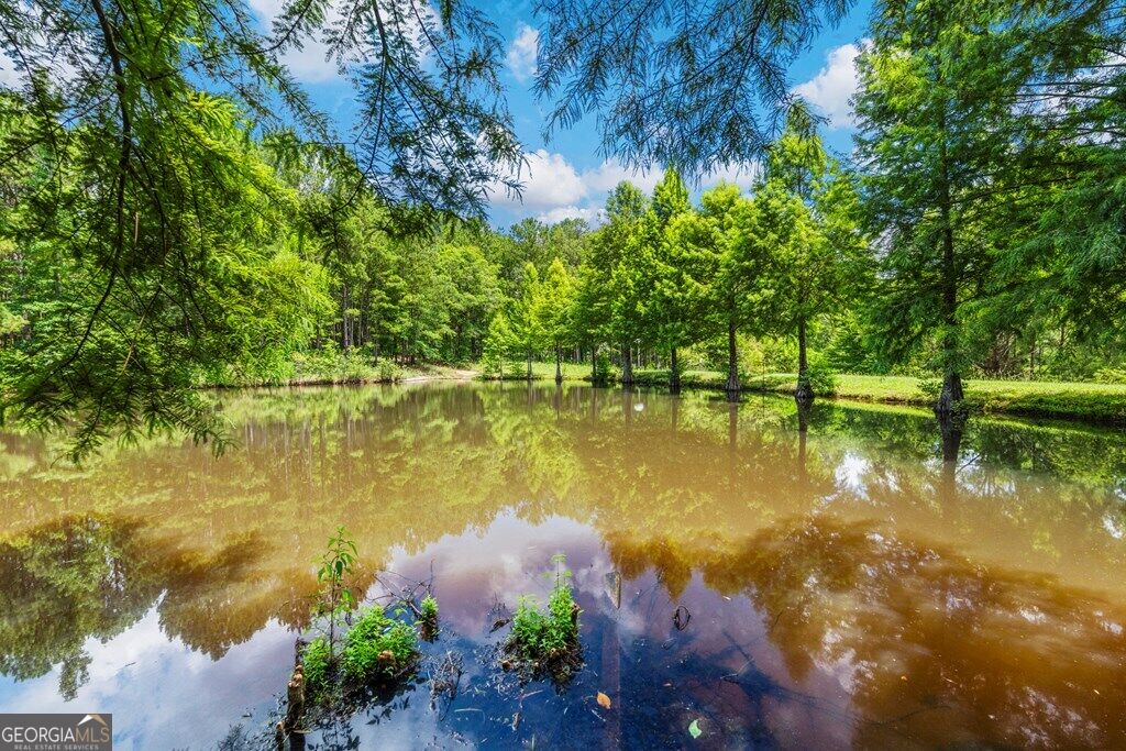 877 Mckee Road Waverly Hall GA 31831