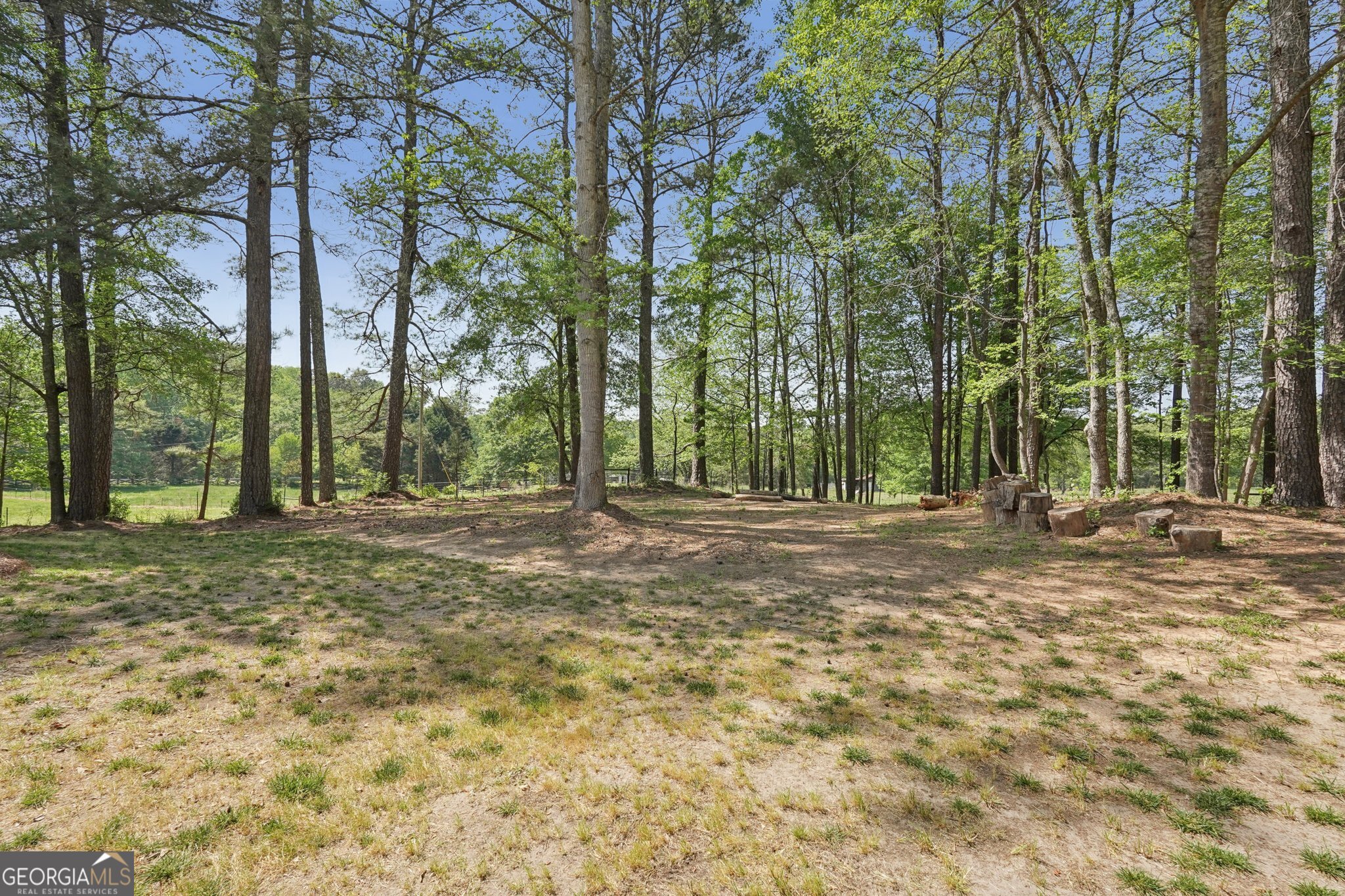 1515 Mount Carmel Road Newnan GA 30263