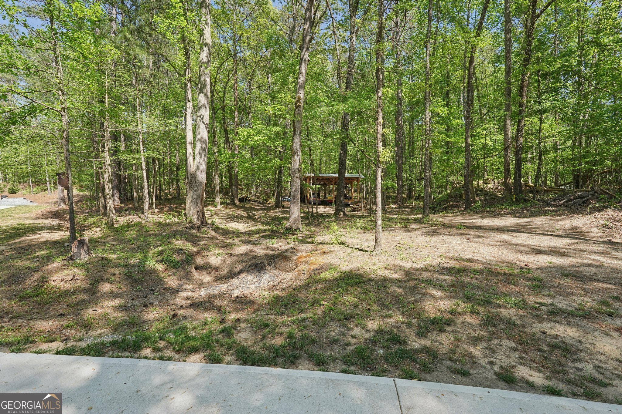 1515 Mount Carmel Road Newnan GA 30263