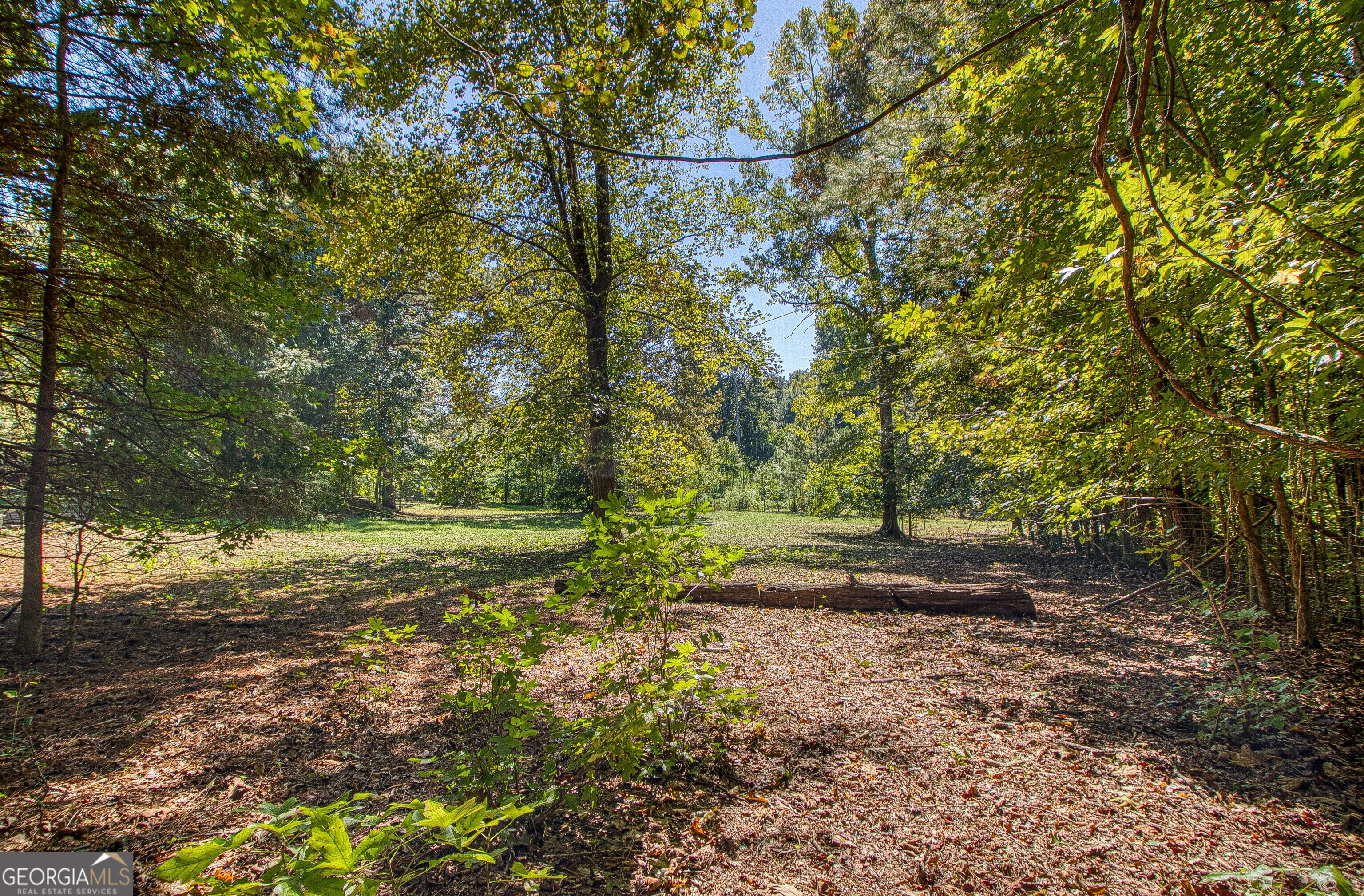 1735 Highway 85 Senoia GA 30276