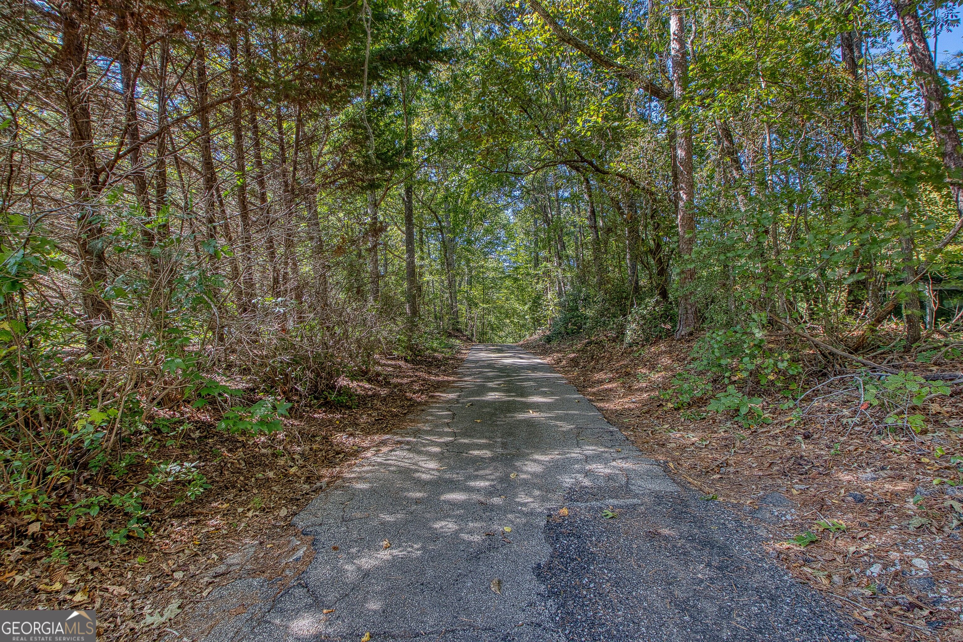 1735 Highway 85 Senoia GA 30276