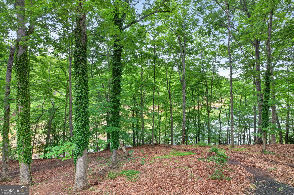 3327 Hickory Point Gainesville GA 30506