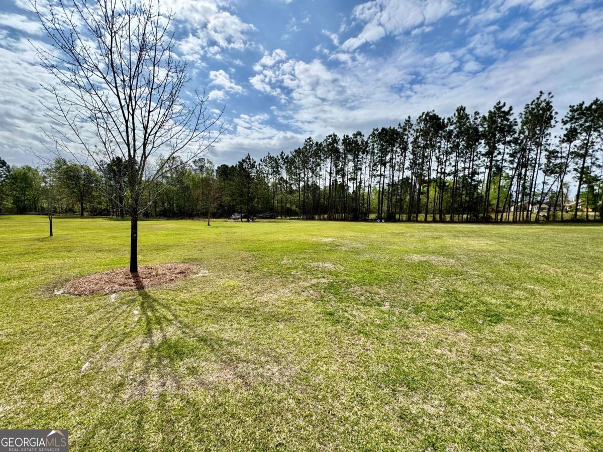 540 Limestone Street Mount Vernon GA 30445
