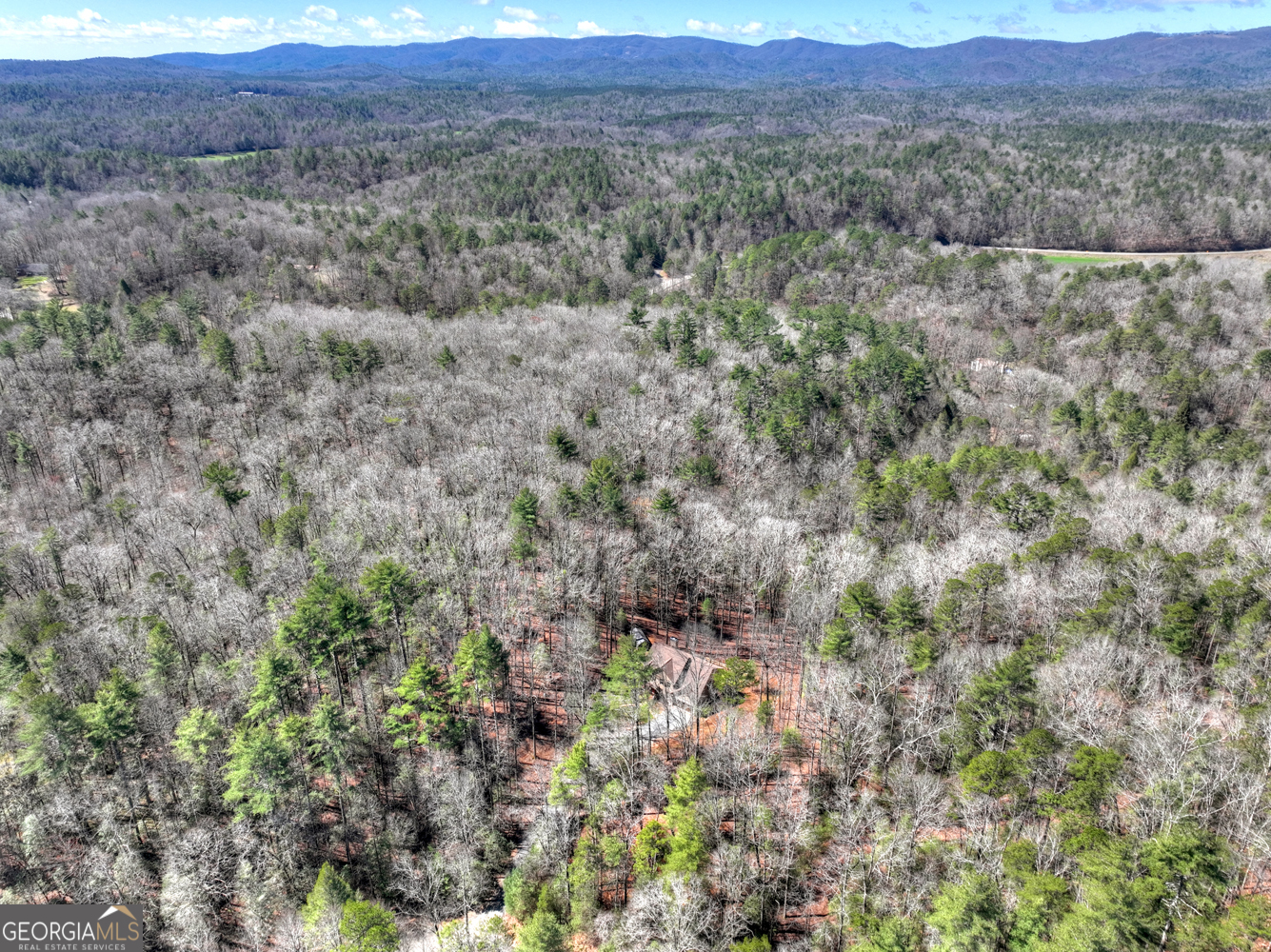175 Mountain Springs Road Ellijay GA 30540