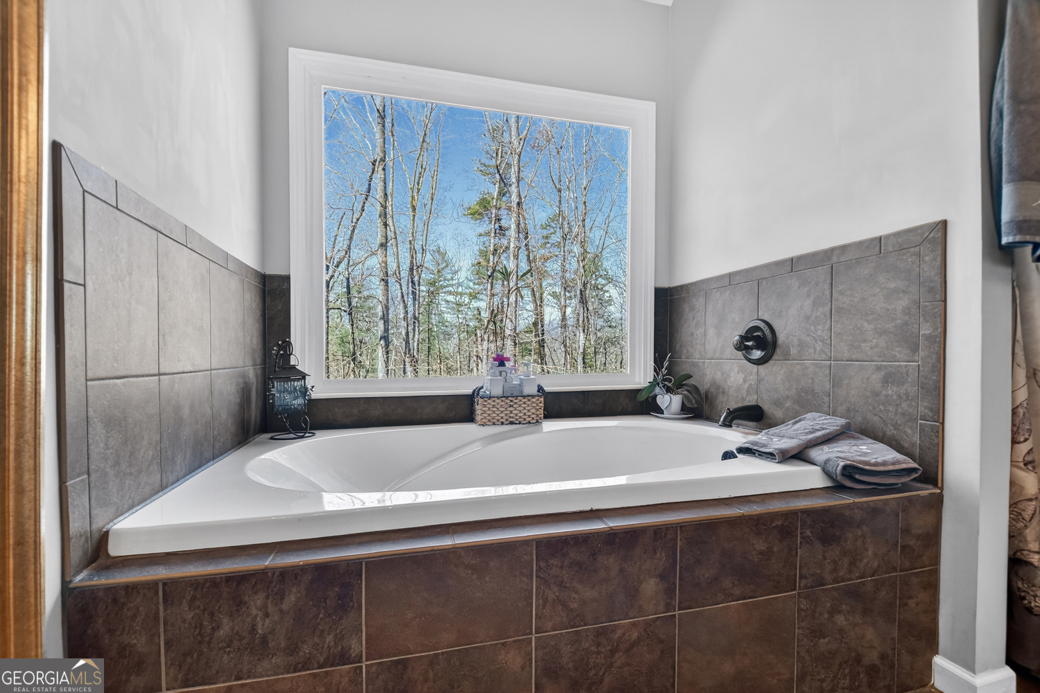 175 Mountain Springs Road Ellijay GA 30540