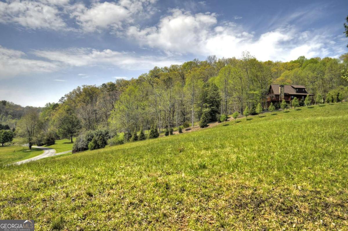 256 Bailey Farm Lane Mineral Bluff GA 30559