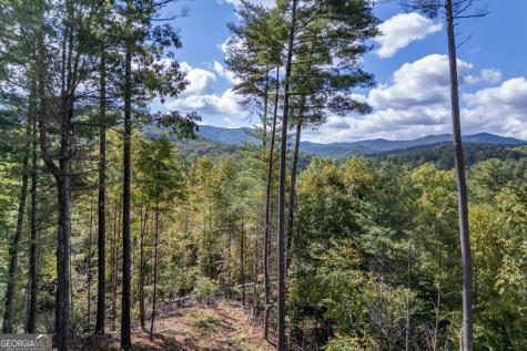 135 Morgan Trail Epworth GA 30541