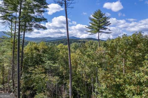 135 Morgan Trail Epworth GA 30541