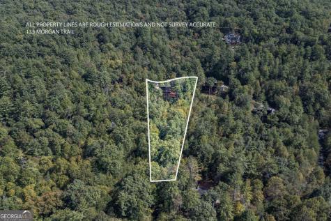 135 Morgan Trail Epworth GA 30541