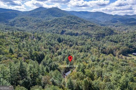 135 Morgan Trail Epworth GA 30541