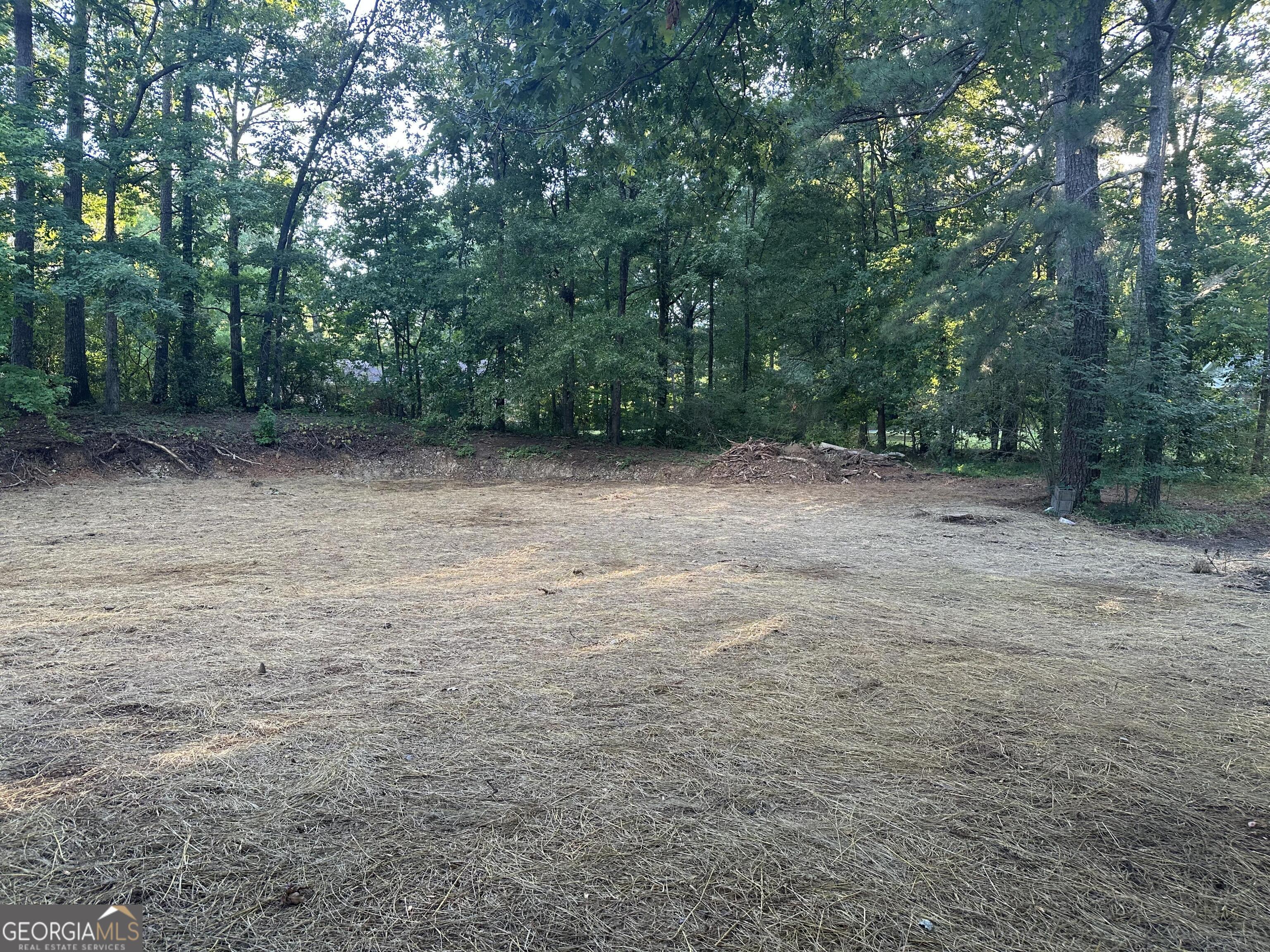 917 N 5th Avenue Chatsworth GA 30705