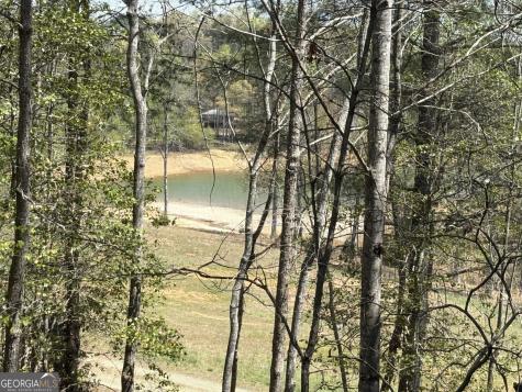 238 Virginia Lane Blairsville GA 30512