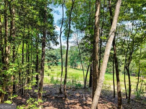 238 Virginia Lane Blairsville GA 30512